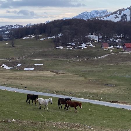 Blackberry House Zabljak Luaran gambar