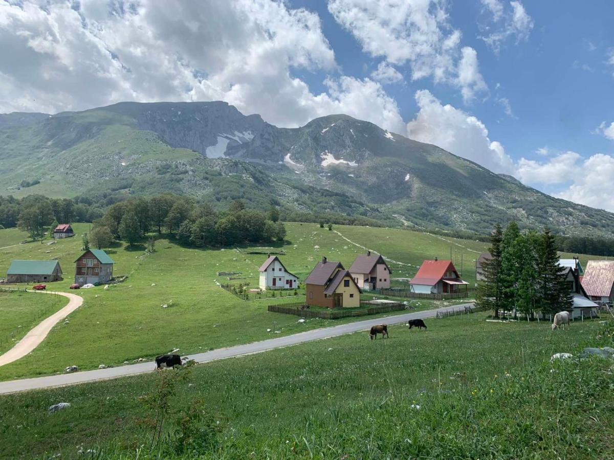 Blackberry House Zabljak Luaran gambar
