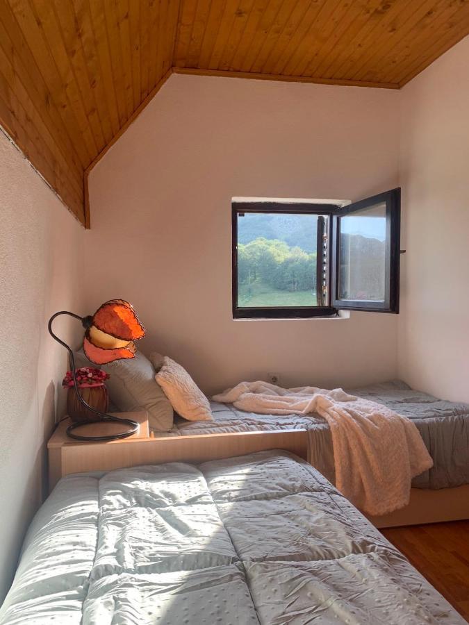 Blackberry House Zabljak Luaran gambar