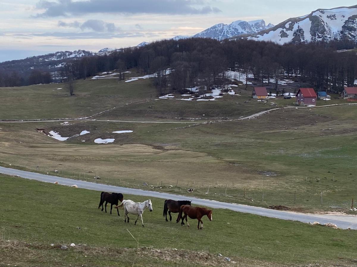 Blackberry House Zabljak Luaran gambar